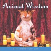 Cover of: Animal Wisdom : More Animal Antics from John Lund
