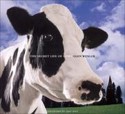 Cover of: The Secret Life of Cows