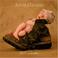 Cover of: Anne Geddes A Labour Of Love