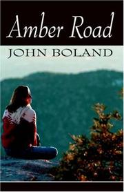 Cover of: Amber Road