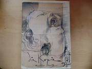 Cover of: Die Kopie by Janssen, Horst