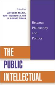 Cover of: The Public Intellectual: Between Philosophy and Politics