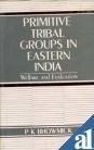 Cover of: Primitive tribal groups in eastern India: welfare and evaluation