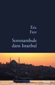 Somnambule dans Istanbul by Éric Faye