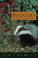 Cover of: BADGERS ON THE HIGHLAND EDGE