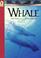 Cover of: Whale (Animals at Risk)