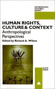 Human Rights, Culture and Context by Richard A. Wilson