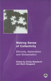 Cover of: Making Sense Of Collectivity: Ethnicity, Nationalism and Globalisation (Social Sciences Research Centre Series)