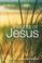 Cover of: Insights of Jesus