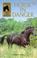 Cover of: Horse in Danger (Sandy Lane Stables)
