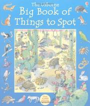 Cover of: The Usborne Big Book of Things to Spot (Young Searches) by Gillian Doherty, Anna Milbourne, Ruth Brocklehurst