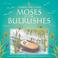 Cover of: Moses and the Bulrushes