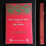 Cover of: Gospel of John and His Letters (Message of Biblical Spirituality, Vol 11)