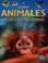 Cover of: Los Animales Atlas Con Pegatinas