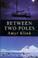 Cover of: Between two poles