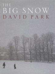 The big snow