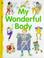Cover of: My Wonderful Body (Life Education)