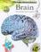 Cover of: Brain (Under the Microscope)