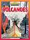 Cover of: Volcanoes (Natural Disasters)