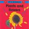 Cover of: Plants and Flowers (It's Science!)