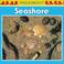 Cover of: Seashore (Walkabout)