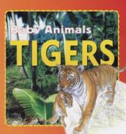 Cover of: Baby Animals:Tigers