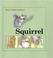 Cover of: Squirrel (Small Furry Animals)