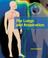 Cover of: Lungs and Respiration (Exploring the Human Body)