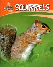 Squirrels (British Wildlife) by Sally Morgan