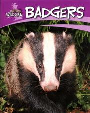 Cover of: Badgers (British Wildlife)
