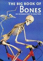 Cover of: The Big Book of Bones by Claire Llewellyn