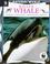 Cover of: Killer Whale (Natural World)