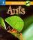 Cover of: Ants (Minibeast Pets)