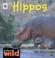 Cover of: Hippos (In the Wild)