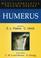 Cover of: Humerus