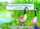 Cover of: Canada Goose at Cattail Lane