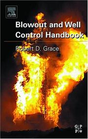 Blowout and well control handbook by Robert D. Grace