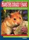 Cover of: El nuevo libro de los hamsters dorado y enano