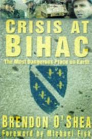 Cover of: Crisis at Bihać: Bosnia's bloody battlefield, including the Carter Peace Initiative, Croatia reclaims Western Slavonia, The fall of the Krajina Serbs