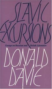 Cover of: Slavic excursions: essays on Russian and Polish literature