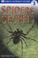 Cover of: Spiders' Secrets