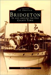 Cover of: Bridgeton by Bill Chestnut
