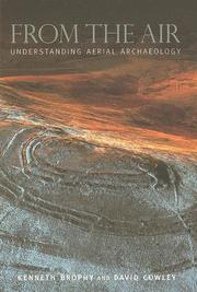 Cover of: From the Air: Understanding Aerial Archaeology