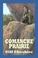 Cover of: Comanche Prairie (Sagebrush Westerns)