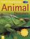 Cover of: Animal Disguises (Kingfisher Young Knowledge)