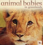 Cover of: Animal Babies in Grasslands (Animal Babies)