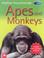 Cover of: Apes and Monkeys (Kingfisher Young Knowledge)