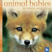 Cover of: Animal Babies in Towns and Cities (Animal Babies) by 