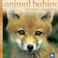 Cover of: Animal Babies in Towns and Cities (Animal Babies)