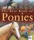 Cover of: The Best Book of Ponies (The Best Book of)